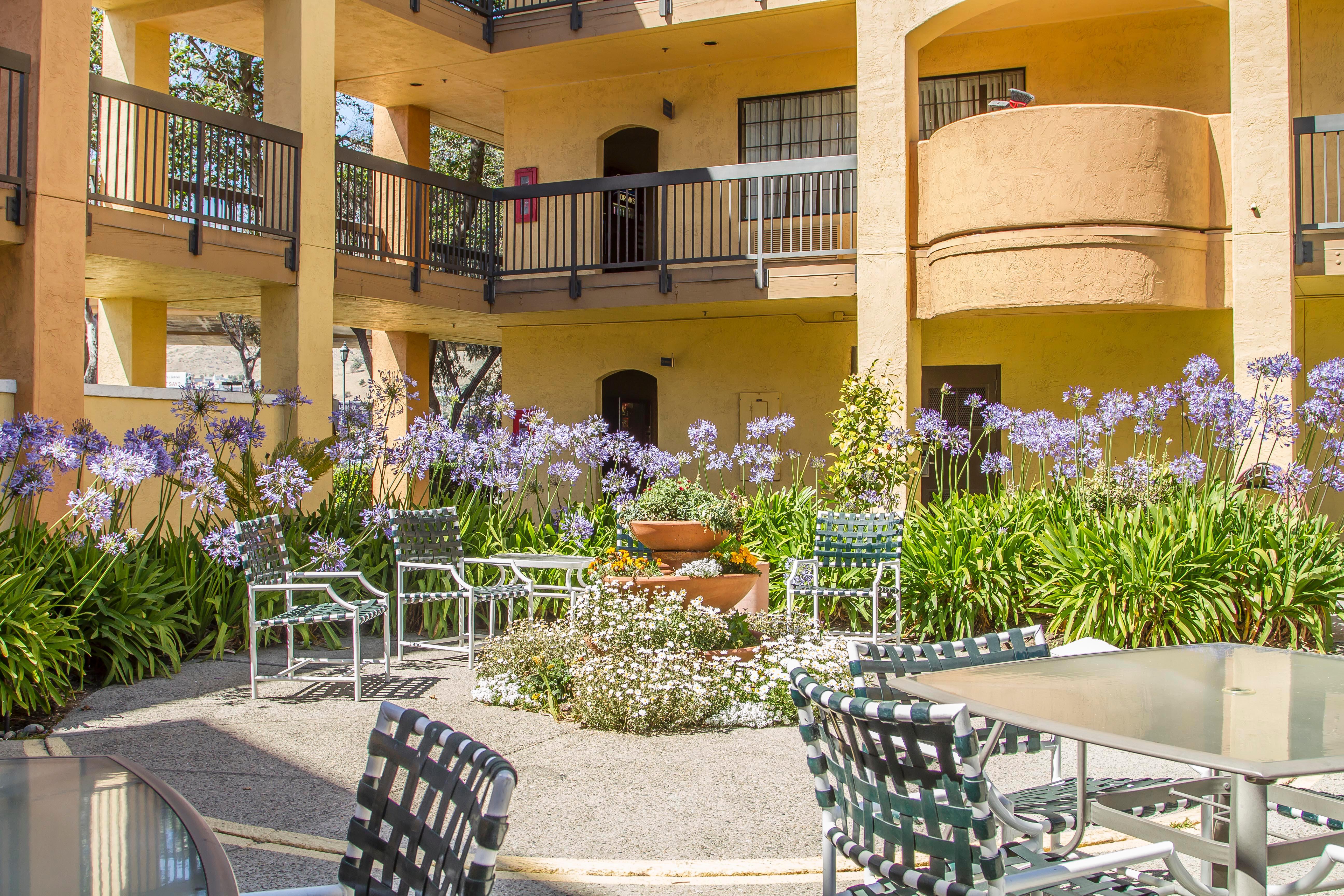 Comfort Inn & Suites San Francisco Airport North South San Francisco Exterior photo